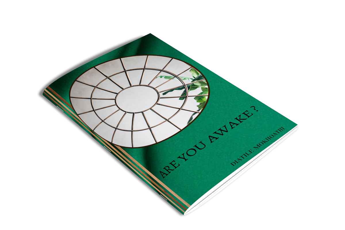 Cover of the book Are You Awake? by Diatile Ndhlovu